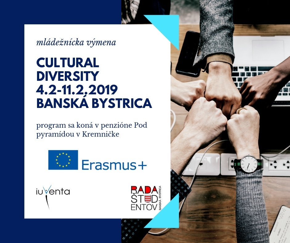 Mládežnícka výmena Cultural diversity